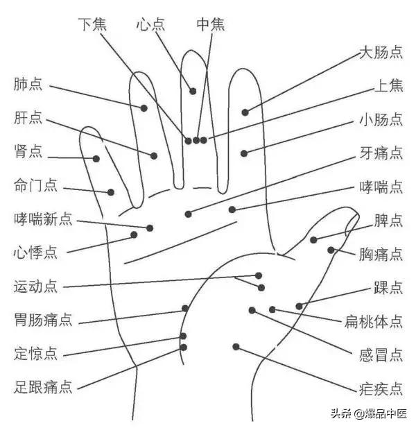 全息图谱：针灸专业必备，拥有完美疗效