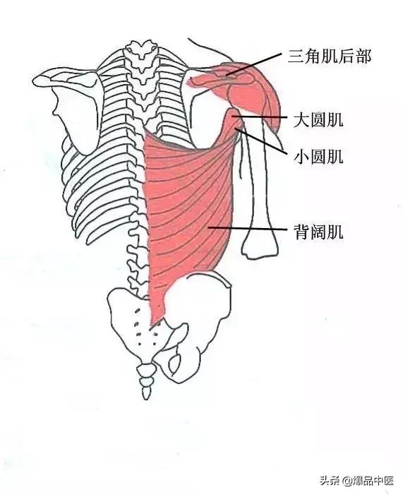 软组织常见压痛点