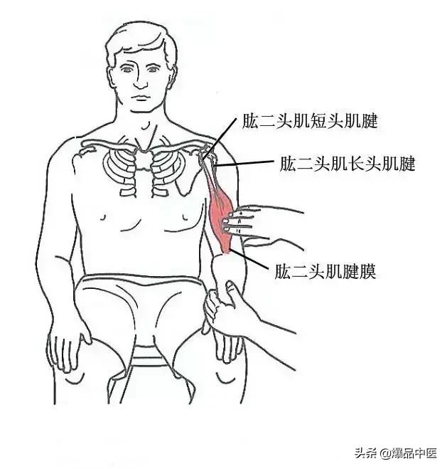 软组织常见压痛点