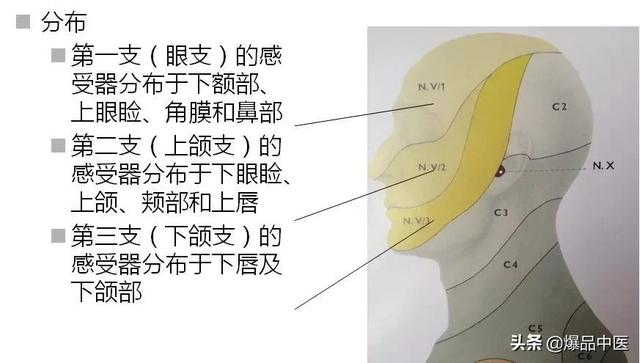 干货 | 疼痛科每位医生需要的一把“利剑”