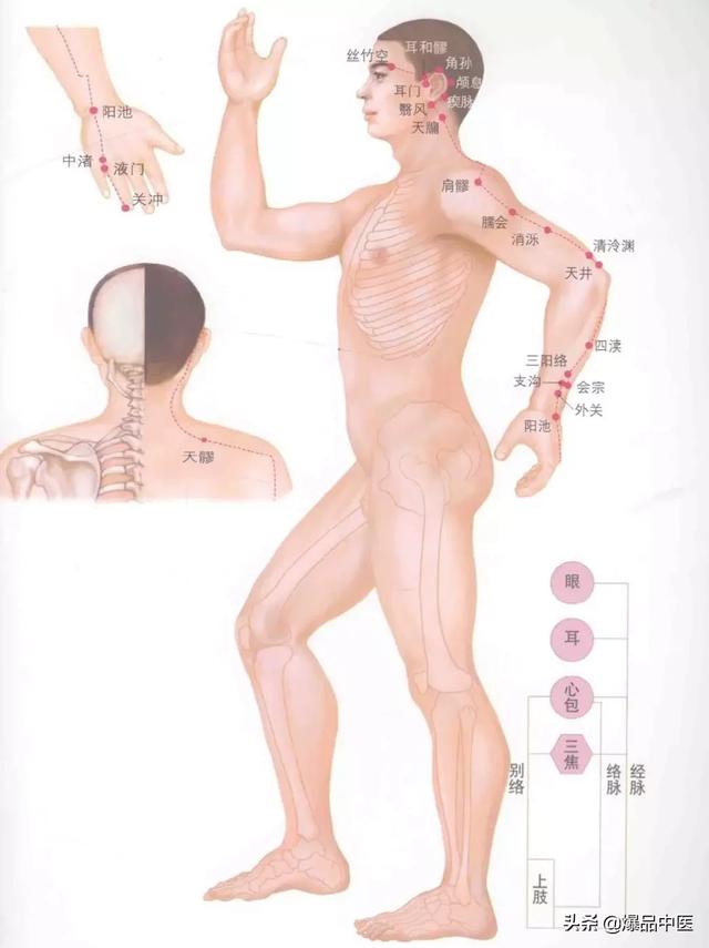 超赞的十四经路穴位图谱及口诀