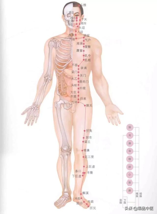 超赞的十四经路穴位图谱及口诀