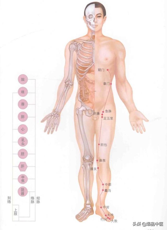 超赞的十四经路穴位图谱及口诀