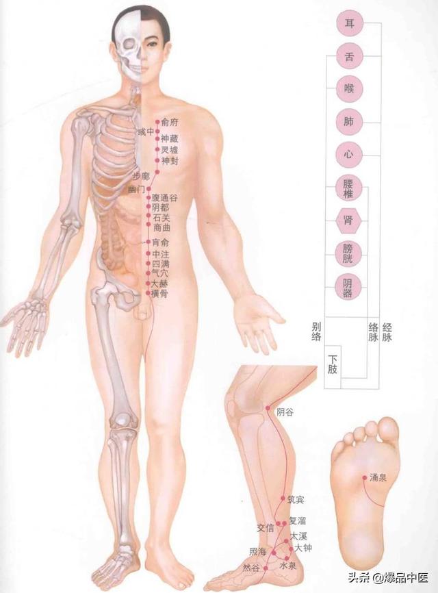 超赞的十四经路穴位图谱及口诀
