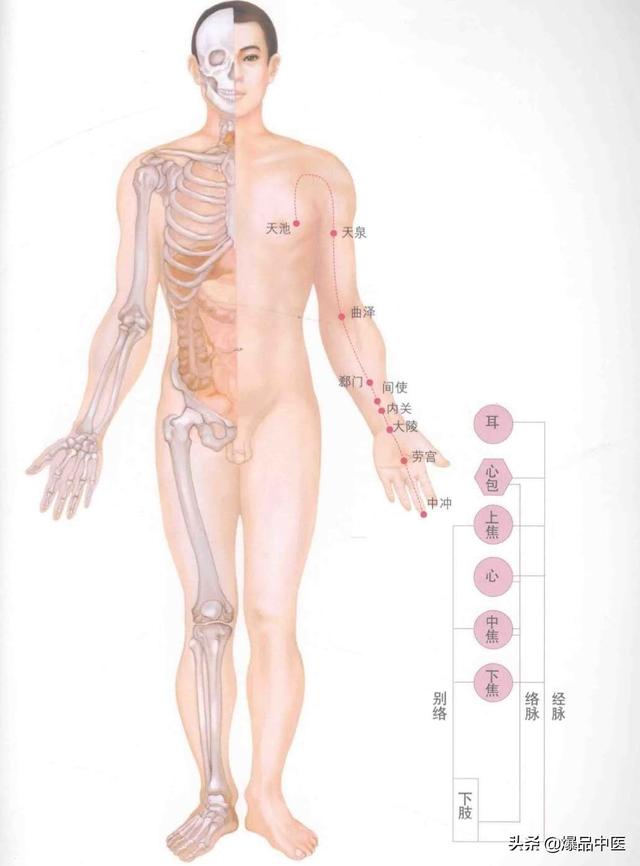 超赞的十四经路穴位图谱及口诀