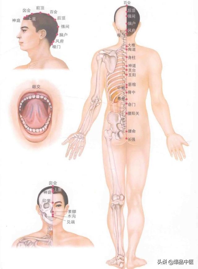 超赞的十四经路穴位图谱及口诀