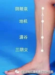 十二经络及其腧穴