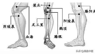 「绝招」39个单穴治病详解