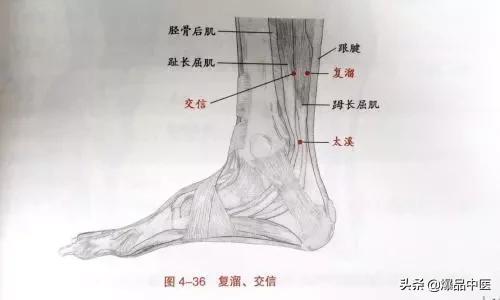 《穴位功效大全》，快看