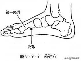 图解“脾经”