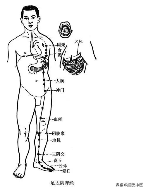 图解“脾经”