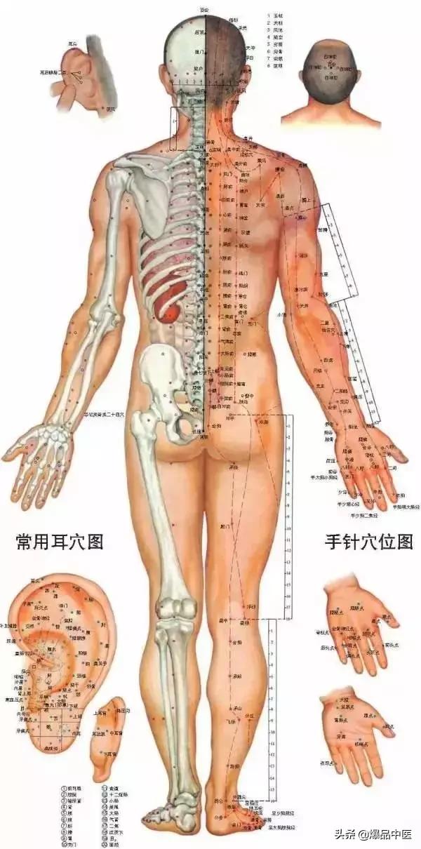 40个常见病穴位按摩大全