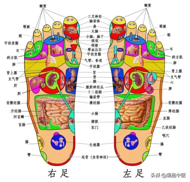 “上病取下，百病治足”一病一绝招（图解）