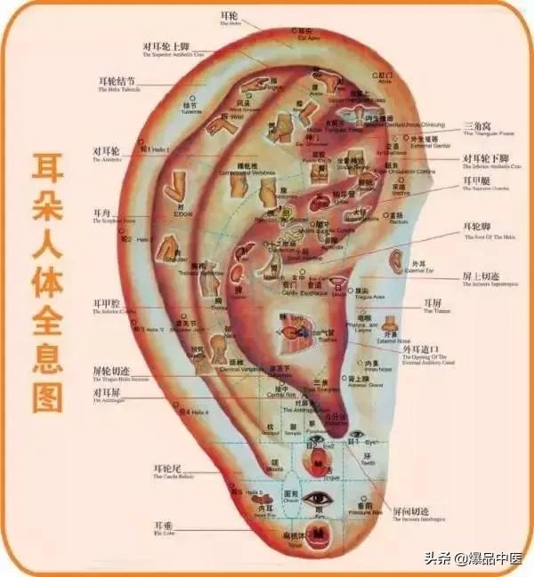 40个常见病穴位按摩大全