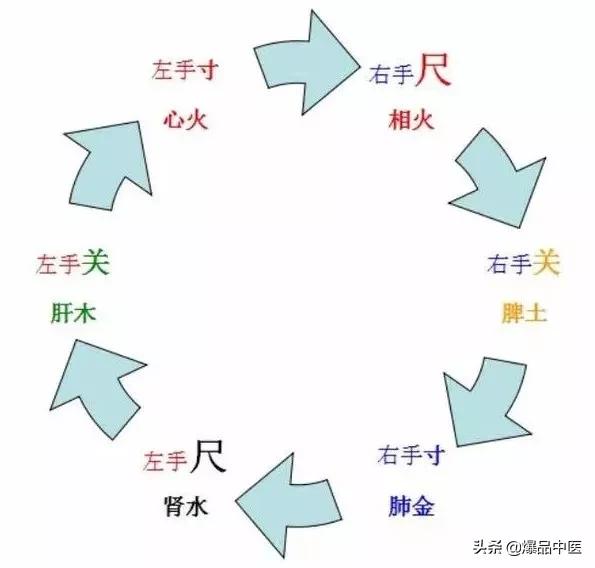 中医怎么把脉「纯干货」