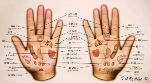 简单易学的手诊图解