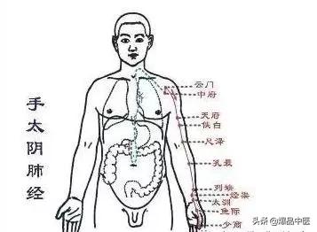 看故事快速记忆“十二经络及穴位”