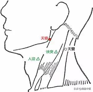 88个精选穴，专穴专用