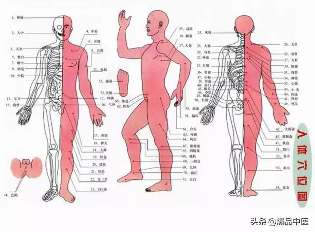 针灸疗法治疗大全