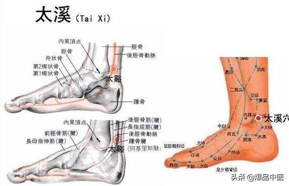 88个精选穴，专穴专用