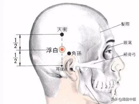 88个精选穴，专穴专用