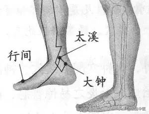 88个精选穴，专穴专用