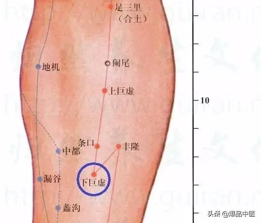 88个精选穴，专穴专用