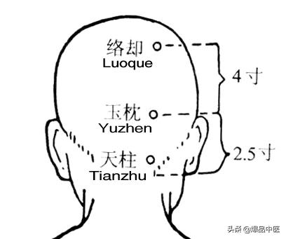 88个精选穴，专穴专用