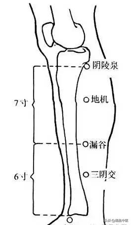 88个精选穴，专穴专用