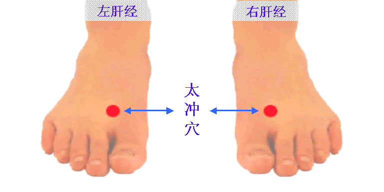 88个精选穴，专穴专用