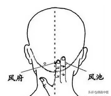 88个精选穴，专穴专用