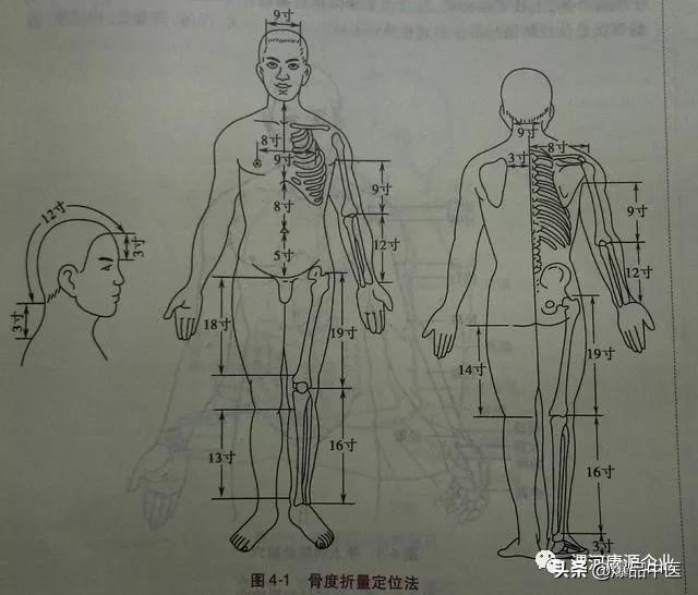 穴位的定位方法