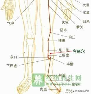 「珍藏版」针灸47奇穴，值得一看