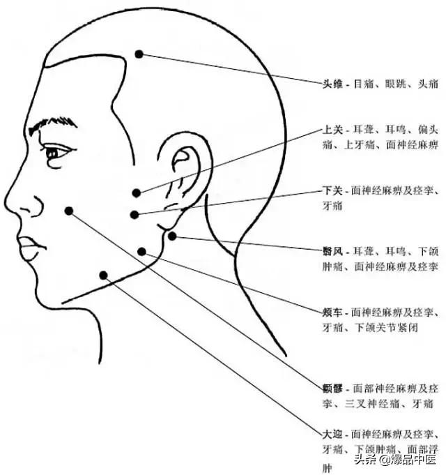 全身穴位治疗口诀大全，配图精华版，想学经络穴位的必须收藏