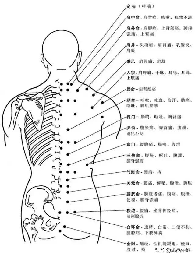 全身穴位治疗口诀大全，配图精华版，想学经络穴位的必须收藏