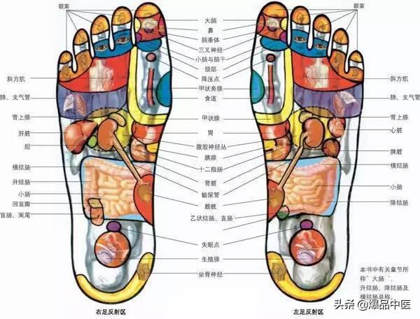 全身穴位治疗口诀大全，配图精华版，想学经络穴位的必须收藏