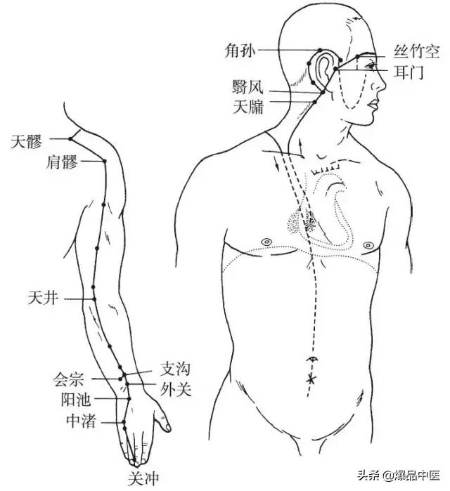 十二经脉的循行规律，中医收藏必备