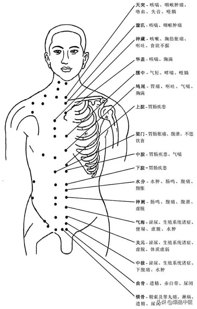 全身穴位治疗口诀大全，配图精华版，想学经络穴位的必须收藏