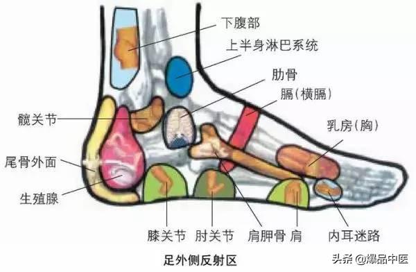 全身穴位治疗口诀大全，配图精华版，想学经络穴位的必须收藏