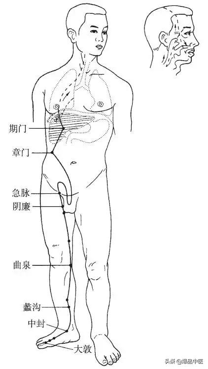 十二经脉的循行规律，中医收藏必备