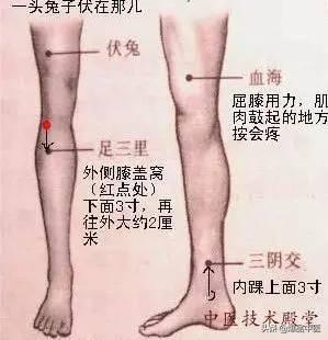 全身穴位治疗口诀大全，配图精华版，想学经络穴位的必须收藏