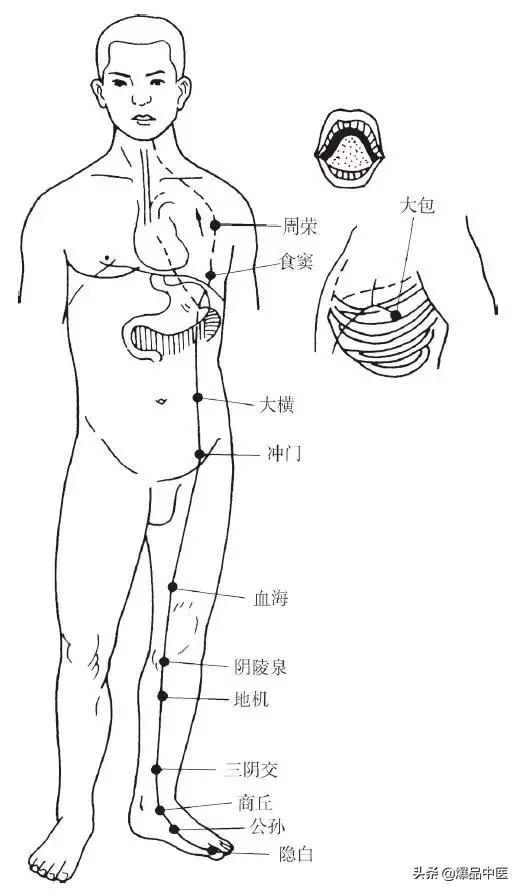 十二经脉的循行规律，中医收藏必备