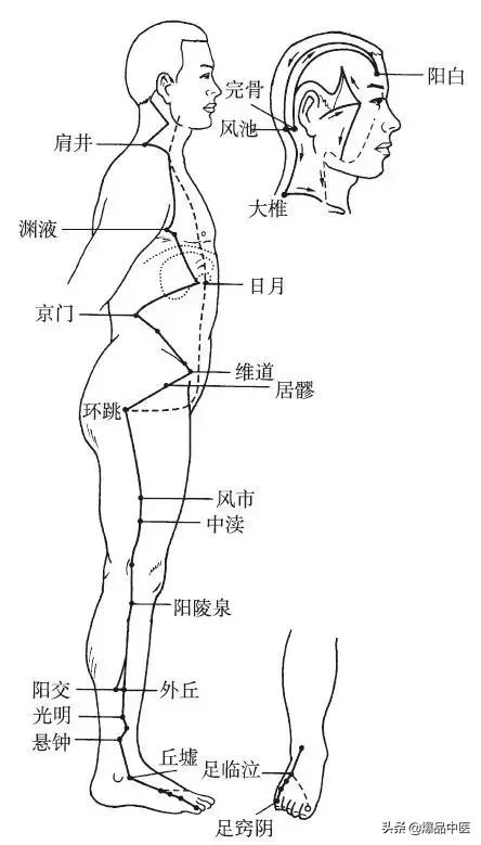 十二经脉的循行规律，中医收藏必备