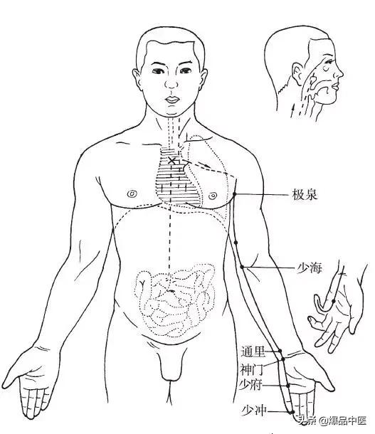 十二经脉的循行规律，中医收藏必备