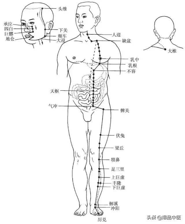十二经脉的循行规律，中医收藏必备