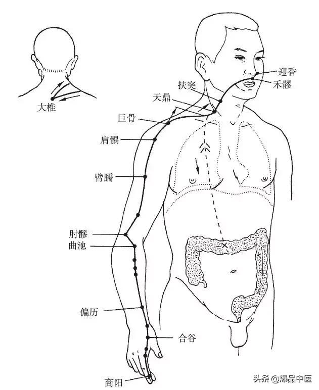 十二经脉的循行规律，中医收藏必备