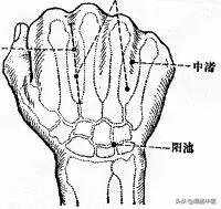 颈椎间盘突出引起手肩麻的治疗穴位