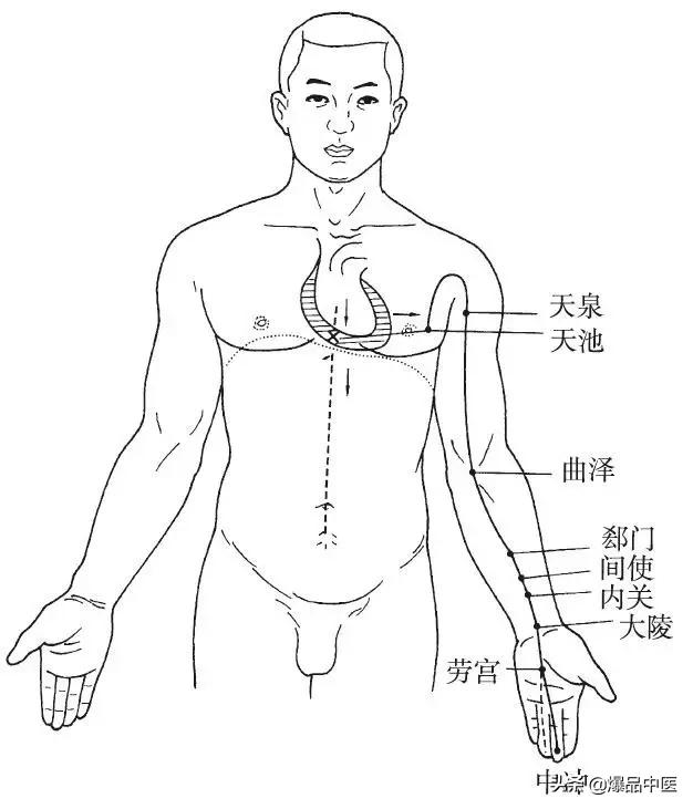 十二经脉的循行规律，中医收藏必备