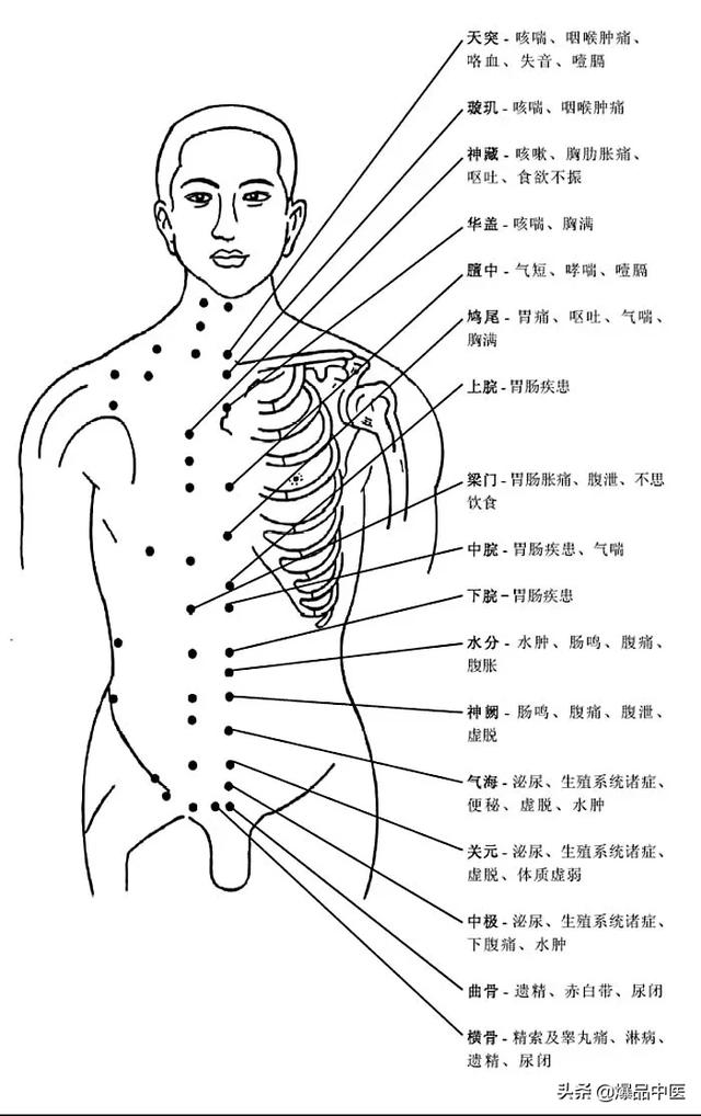 图解-人体穴位、经脉及对应疾病大全