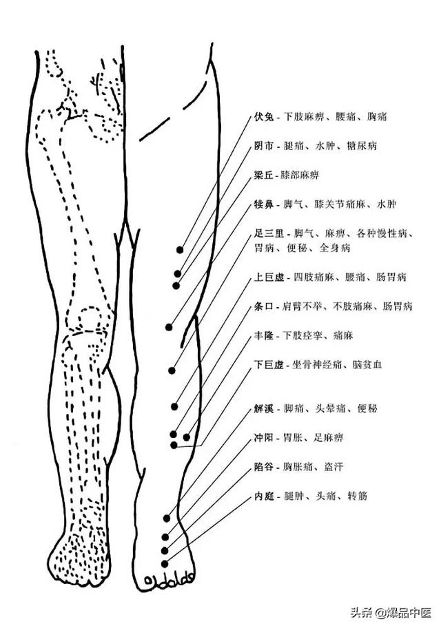 图解-人体穴位、经脉及对应疾病大全